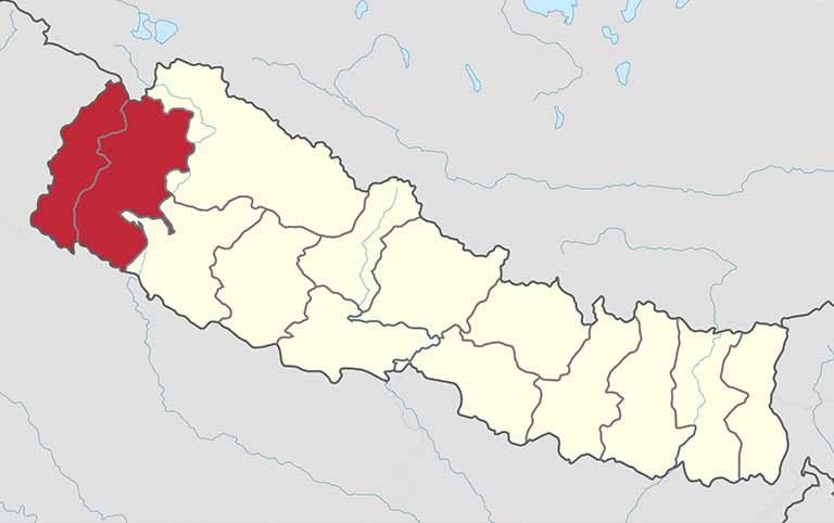Bat study in Far-Western region, Nepal