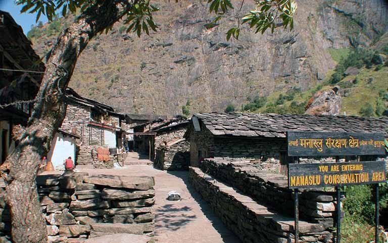 Study of Golden Jackal on human dominated landscape of Manaslu Conservation Area, Nepal