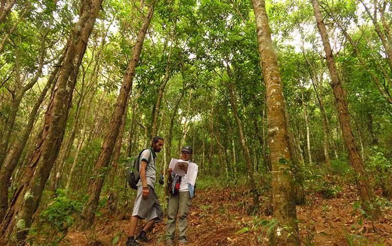 Biodiversity survey of Chandragiri Hill, Kathmandu, Nepal