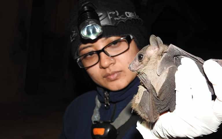 Chepang, Cheuri and Chamera: Maintaining a delicate balance through conservation awareness in Chepang community in Nepal
