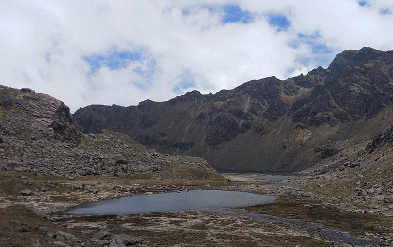 Ecology and Conservation of Wood Snipe in Langtang National Park, Nepal