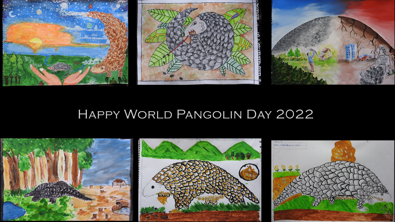 Celebration of The Eleventh World Pangolin Day 2022