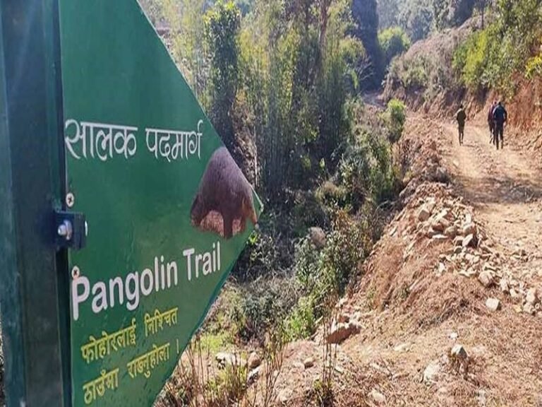 Strengthening capacity and diversifying livelihoods of local people for conservation of Chinese pangolin in Bagh Bhairav Community Forest