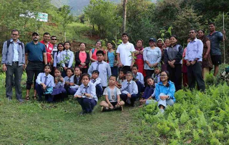 Plantation Program on World Environment Day 2024